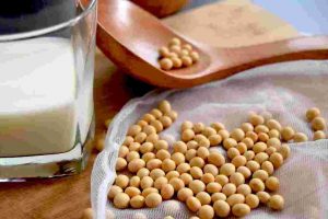 Advisory Panel for Development of USSEC Soy Excellence Center for Human Protein