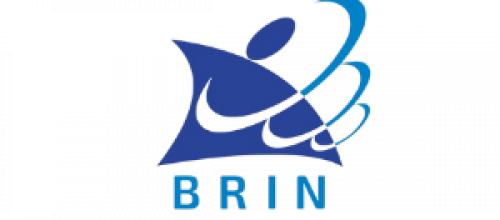 BRIN