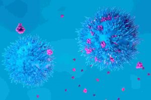 Characterization of T-cell immunity to SARS-CoV-2 in the South East Asian and European population