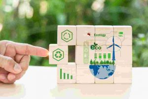 Developing a Bioeconomy in Indonesia_ Indentification of Novel Microorganisms and Mircobial Enzymes from Indonesian's Peatlands and Buffaloes To Improve Bioconversion of Oil Palm Residues