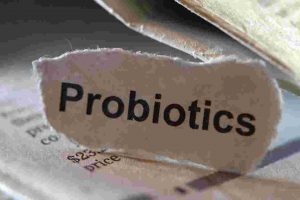 Evaluation of Probiotic and Starter Culture Properties of Spray-Dried Probiotics