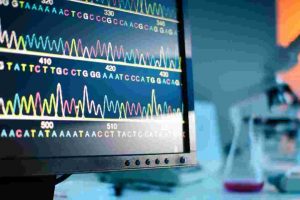 Find The True You Through DNA Sequence