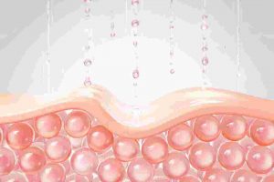 In Vitro ECM Expression Study of Serum Toner and Essence