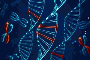 In Vitro Gene Expression Study of Cosmetic Product