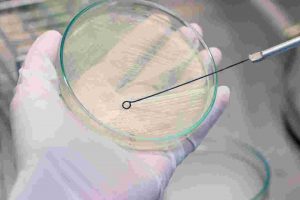 Microbial Culture Preparation - Training Module