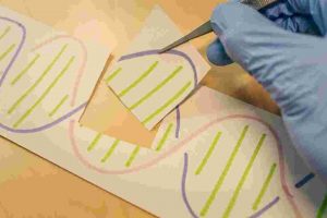 Principles and Advances of CRISPR-based Genome Editing in Therapeutic Applications