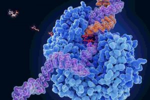 Protein Domain Annotations of The SARS-CoV-2 Proteomics as a Blue-Print for Mapping The Features for Drug and Vaccine Designs