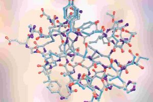 The Protein Modeling for Drug Design