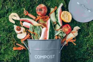 Urban Composting Workshop​